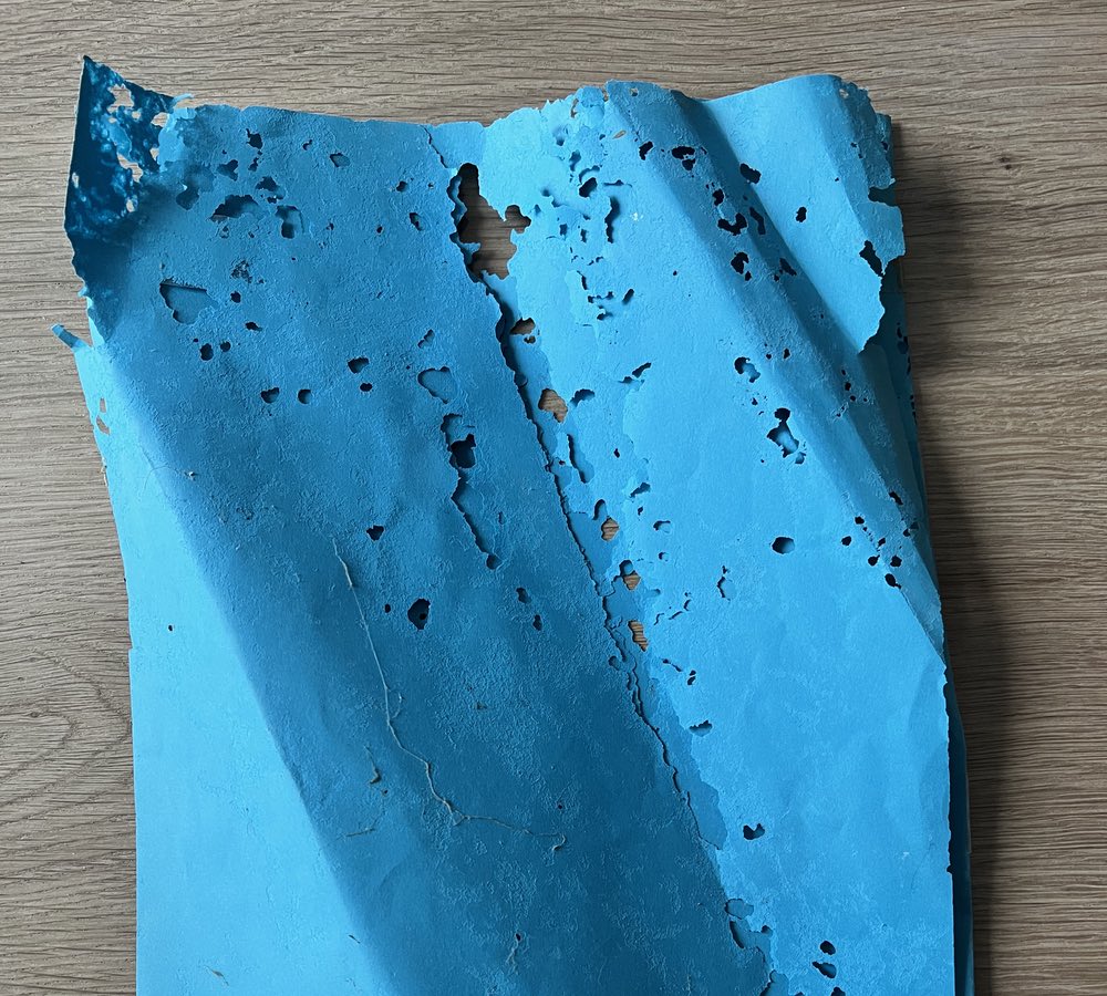 Blauw papier dat deels is opgegeten door papiervisjes op laminaat